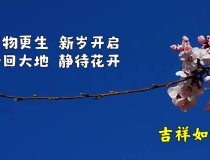 北洋旧事