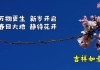 北洋旧事