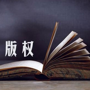中央宣传部版权管理局负责人就版权保护专项行动答记者问